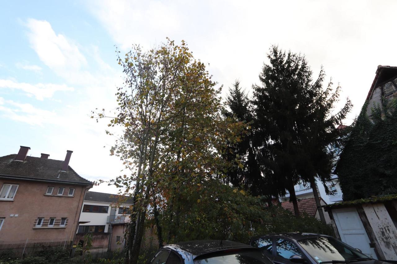 Homeday Cultivateur N°2 Appartement Type F3 Haguenau Dış mekan fotoğraf
